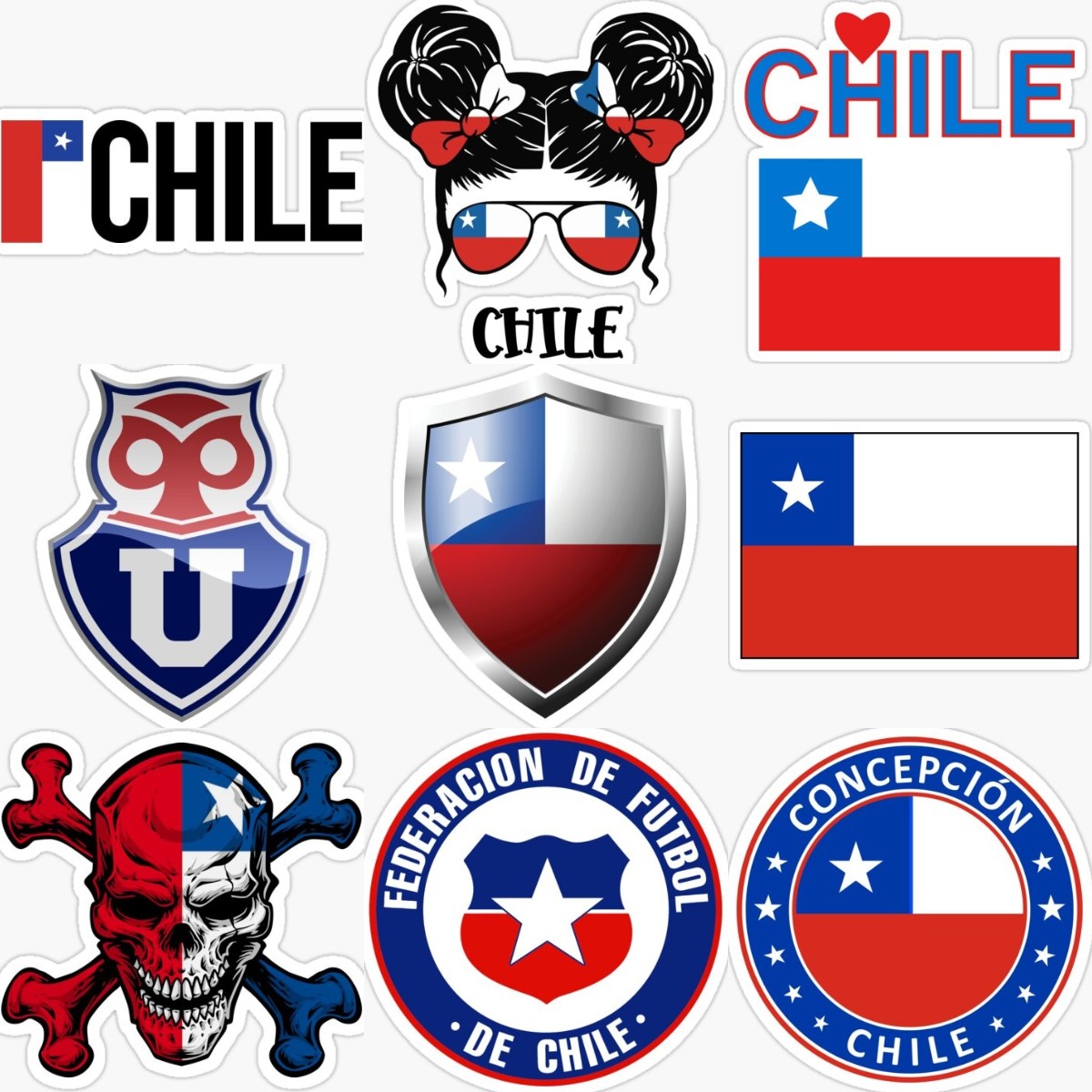 Chile Emblem Flag Skull Creati - Desk Setup Laptop 评论和价格